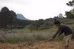 Chú bé mồ côi và căn nhà nhỏ trên thảo nguyên