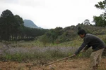 Chú bé mồ côi và căn nhà nhỏ trên thảo nguyên