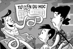 Trung tâm tư vấn du học: Vàng ít thau nhiều