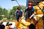Chùm ảnh: Sinh viên với xuân tình nguyện