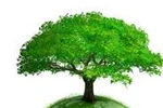Kết quả tặng 5 thùng sữa Ba Vì (đợt 34) 