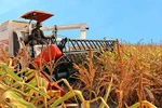 Xuất ngoại "nông nghiệp công nghệ cao", bầu Đức bỏ túi nghìn tỷ