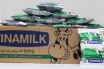 Những điều chưa biết về sữa Fino của Vinamilk