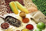12 thực phẩm hàng đầu chống lại bệnh tật có trong bếp nhà bạn 