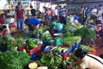 Hết mưa bão, tiểu thương khẳng định: Giá rau xanh vẫn tiếp tục đắt 