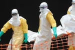 Những ai có nguy cơ mắc bệnh do vi rút Ebola?