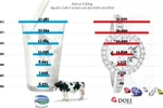 Doanh nghiệp đại gia Việt kiếm tỷ USD mất bao lâu? 