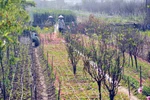 Miền Bắc sáng sớm có mưa, trưa chiều hửng nắng