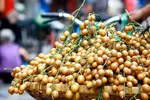 Tác dụng chữa bệnh của quả hồng bì