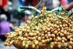 Tác dụng chữa bệnh của quả hồng bì