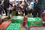 Trái cây Trung Quốc tràn về chợ quê