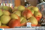 80% hoa quả tại sân bay Nội Bài là hàng Trung Quốc