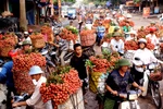 Cao điểm mùa vải, Bắc Giang thu hoạch 2.000 tấn/ngày