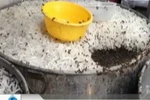 Hàng tấn mứt tết mất vệ sinh đến tay NTD với tên gọi Hải Hà, Hữu Nghị?