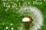 Không có khát vọng lớn, nhiều người Việt "quẩn quanh sau lũy tre làng"