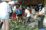 Siêu bão Haiyan đẩy giá thực phẩm ở Hà Nội tăng gấp đôi