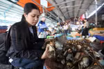 "Cua thuốc sâu, đu đủ hóa chất" khiến người tiêu dùng "sốc" tuần qua 