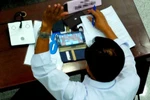 Nghị trường, nghị quyết và… nghị gật