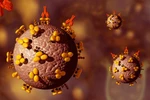 Bước đầu tìm ra cơ chế nghiên cứu vác-xin chống vi rút HIV