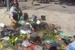 Tiểu thương đập chậu, bỏ cành đào, hoa cảnh vào xe rác