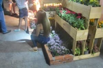 Những điều chưa đẹp ở đường hoa Nguyễn Huệ