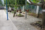 Tiêu hơn 568 triệu đồng của phụ huynh, trường Bình Hưng Hòa làm được những gì?