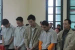 Hà Nội: Ổ nhóm “sưa tặc” lĩnh án