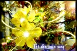 Những tấm thiệp chúc mừng năm mới xuân Giáp Ngọ 2014 (P4)