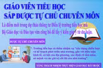 Giáo viên tiểu học được tự chủ chuyên môn