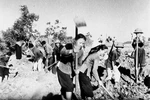 Những nữ chiến sĩ quả cảm trên con Đường Trường Sơn huyền thoại