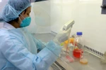 Với đội ngũ giảng viên, học vị Tiến sĩ mới chỉ là bắt đầu