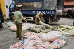 Hà Giang xác minh làm rõ gần 1,2 tấn sủi cảo, chả cá không rõ nguồn gốc
