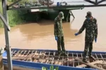 Bắt 6 tấn heo toàn thân tím tái nhập lậu vào Việt Nam