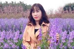 Bài thi Ngữ văn tốt nghiệp lớp 12 phải trúng, đúng, đủ ý, tránh lan man
