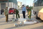 Bắt giữ xe tô tô vận chuyển hơn nửa tấn thịt lợn đã bốc mùi ôi thiu
