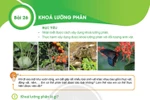Giáo viên nhặt "sạn" sách KHTN lớp 6 phần Sinh học bộ Kết nối tri thức