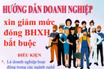 Infographic: Hướng dẫn doanh nghiệp xin giảm mức đóng BHXH bắt buộc