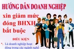 Infographic: Hướng dẫn doanh nghiệp xin giảm mức đóng BHXH bắt buộc