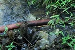 Bán nước lẫn dầu nhớt cho dân, phải xem xét yếu tố hình sự