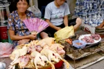 Làm gì để phòng tránh ngộ độc thực phẩm?