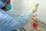 Nhiều thành tựu đáng tự hào của ngành Y tế Việt Nam
