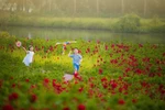 Nơi tìm lại tuổi thơ cho trẻ em phố thị