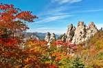 Vietravel Hà Nội độc quyền khai thác bay thẳng tới Hàn Quốc