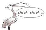 Khi giáo viên đua nhau làm “cò đất”