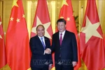 Thủ tướng Nguyễn Xuân Phúc hội kiến Tổng Bí thư, Chủ tịch Trung Quốc