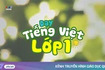 Theo tôi, lớp 1 năm nay chỉ nên dạy 2 môn Tiếng Việt, Toán cho đến khi hết Covid