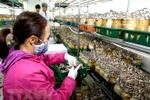 Phát triển kinh tế tư nhân là một trong những trọng tâm đột phá