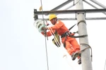 Tình hình hoạt động sản xuất kinh doanh 6 tháng đầu năm của EVNNPC