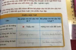 Chuyện buồn về viết vào sách giáo khoa