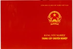 Bằng trung cấp, cao đẳng có lỗi gì?
